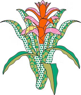 Bromélia